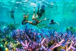 Enjoy a full-day of snorkeling in Beqa Lagoon