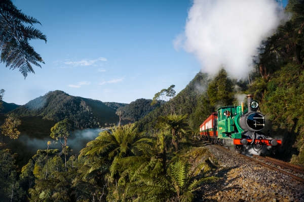 Journey through rivers and rainforests