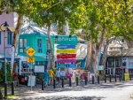 Stroll the tree-lined streets of Palm Cove