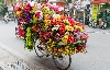 Hanoi street florist