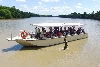 Jumping Crocs Cruise