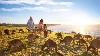 You guessed it... Kangaroos on Kangaroo Island