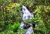 Triplet Falls Apollo Bay