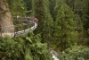 Capilano cliff walk Vancouver