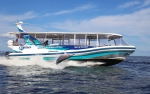 Mandurah dolphin cruise