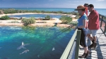 Visit Shark Bay's Ocean Park Aquarium