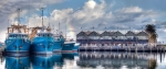 Fremantle's famous Fishing Boat Harbour