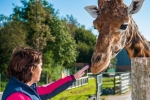 Optional Darling Downs Zoo experience