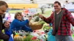 Visit the award-winning Mullumbimby Farmers Markets