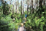 Agnes Water is home to many fantastic walking trails