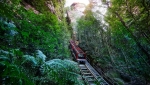 Scenic World's gorgeous Scenic Railway