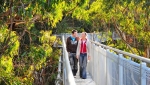 Walk through the treetops of Illawarra Rainforest