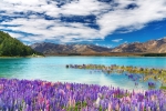 Visit the gorgeous Lake Tekapo