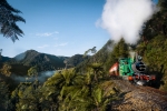 River and Rainforest train journey