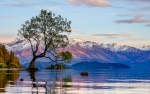 Explore the picturesque Lake Wanaka