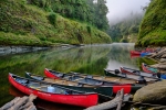 Canoe experience on the Whanganui River