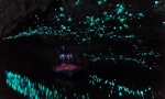 Waitomo glow worm cave