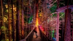 Redwood nightlights walk