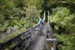 Hunua Falls track