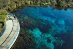 Te Waikoropupu Springs, Golden Bay