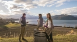 Central Otago wine tour