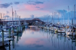 Auckland Harbour