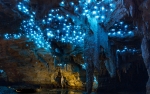 Waitomo Glowworm Pool