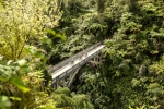 Whanganui National Park