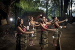 Learn about Maori culture