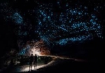 Explore Te Anau's glow worm caves