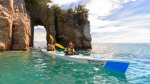 Explore the Coromandel Peninsula