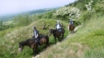 Horse riding in Wanaka