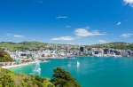 Explore gorgeous Wellington