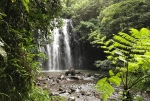 Discover Cedar Creek Falls