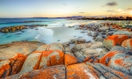 Walk the colourful beaches of the Bay of Fires