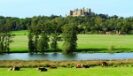 Walk the green grasses of the Vale of Belvoir 