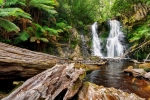 Hogarth Falls, Peoples Park