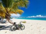 Explore the island by bike