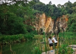 Hike through Bukit Timah Nature Reserve