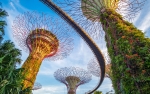 The spectacular Gardens by the Bay awaits