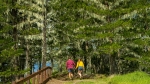 Bushwalking and a BBQ breakfast is a great way to spend your morning