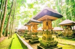 Monkey forest in Ubud