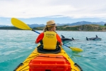 Kayaking tour in Kaikoura