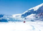 Columbia Icefield