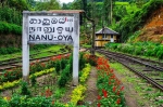 Scenic train ride at Nuwara Eliya
