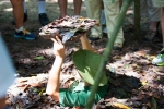 Cu Chi Tunnels