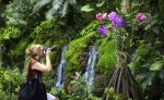 Cloud Forest in Singapore is an awe-inspiring botanical garden.