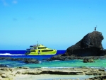 Explore the idyllic Kuata Island on a cruise