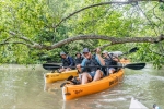 Pulau Ubin Mangrove Kayaking