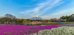 Fujikawaguchiko is a charming town at the base of Mount Fuji